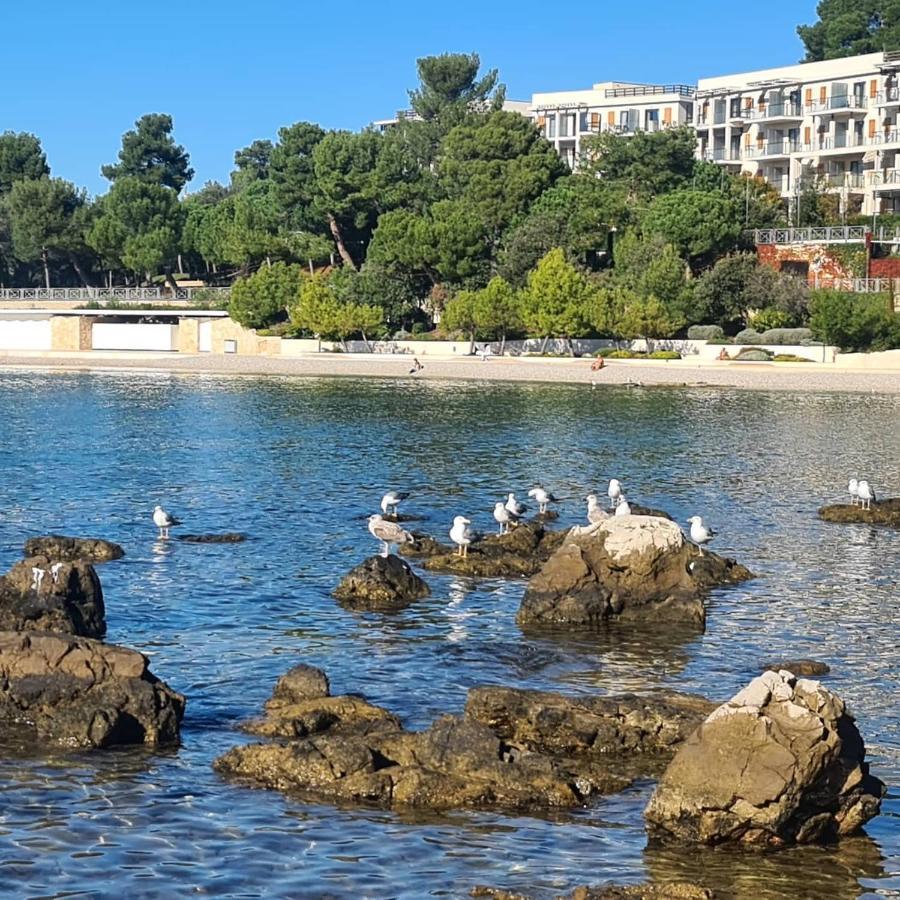 Vila Tena Rovinj Croatia エクステリア 写真