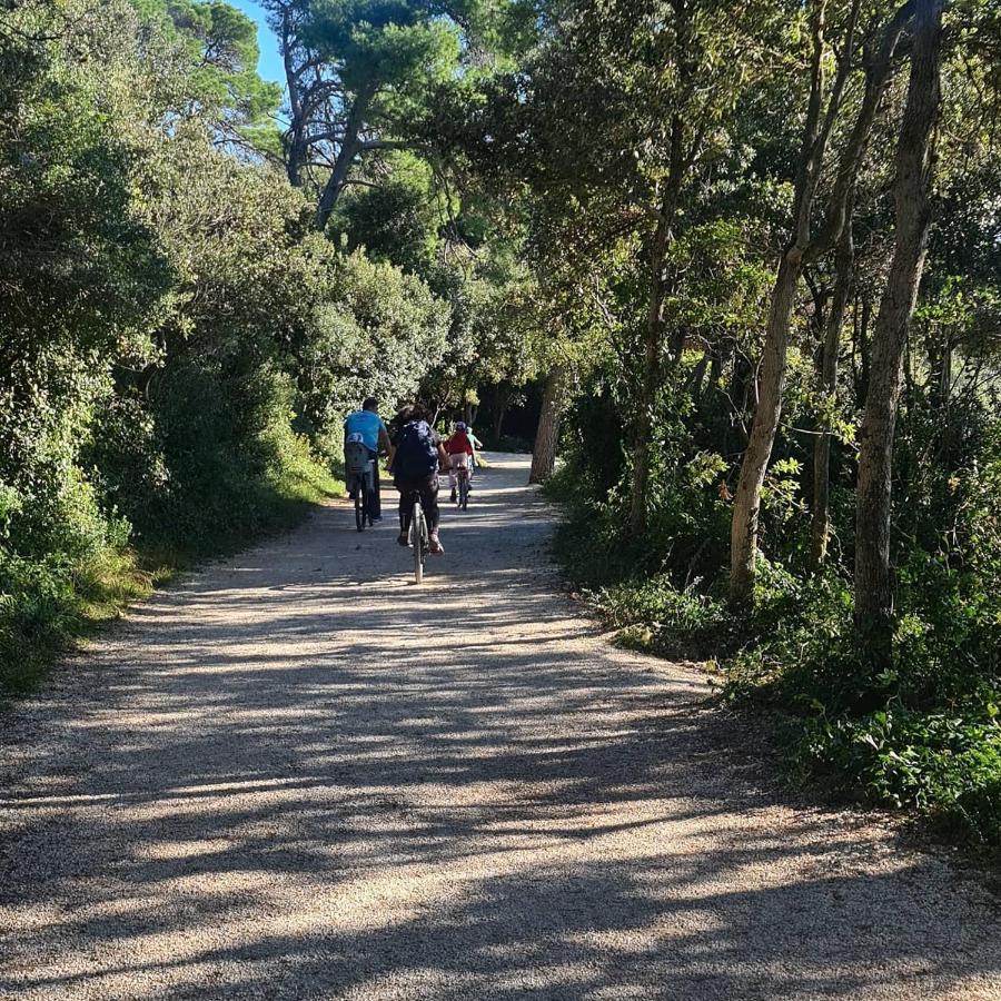 Vila Tena Rovinj Croatia エクステリア 写真