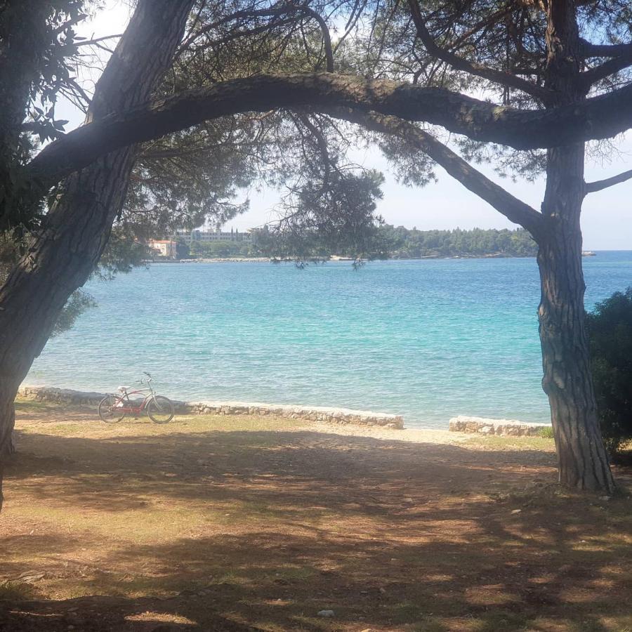 Vila Tena Rovinj Croatia エクステリア 写真