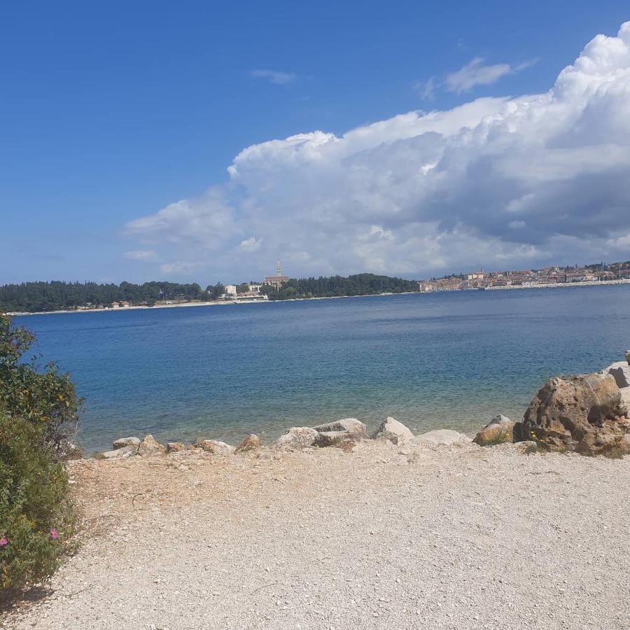 Vila Tena Rovinj Croatia エクステリア 写真