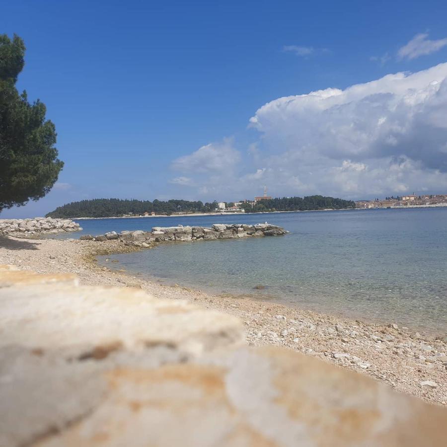 Vila Tena Rovinj Croatia エクステリア 写真