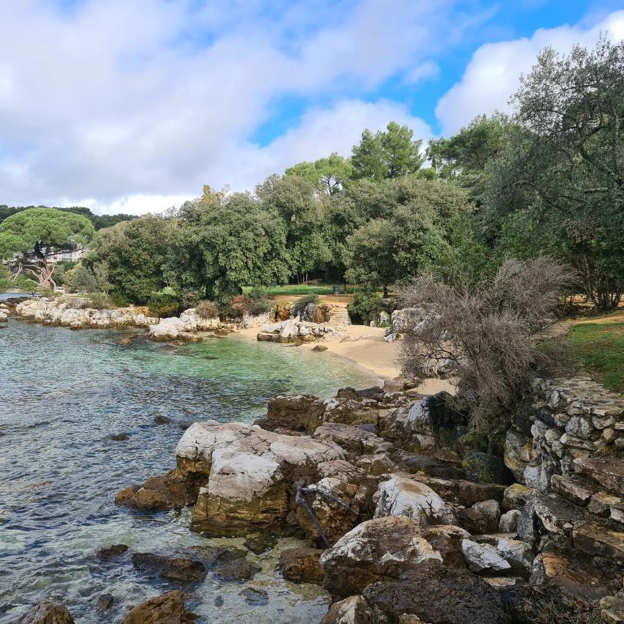 Vila Tena Rovinj Croatia エクステリア 写真