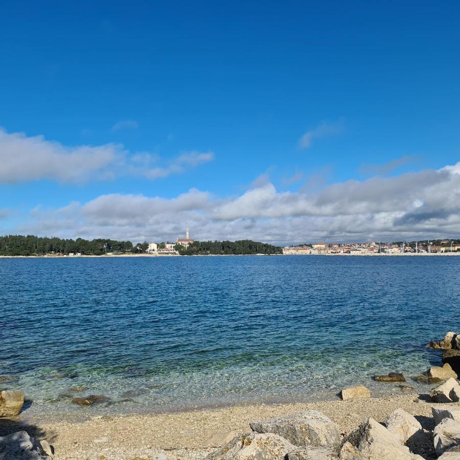 Vila Tena Rovinj Croatia エクステリア 写真