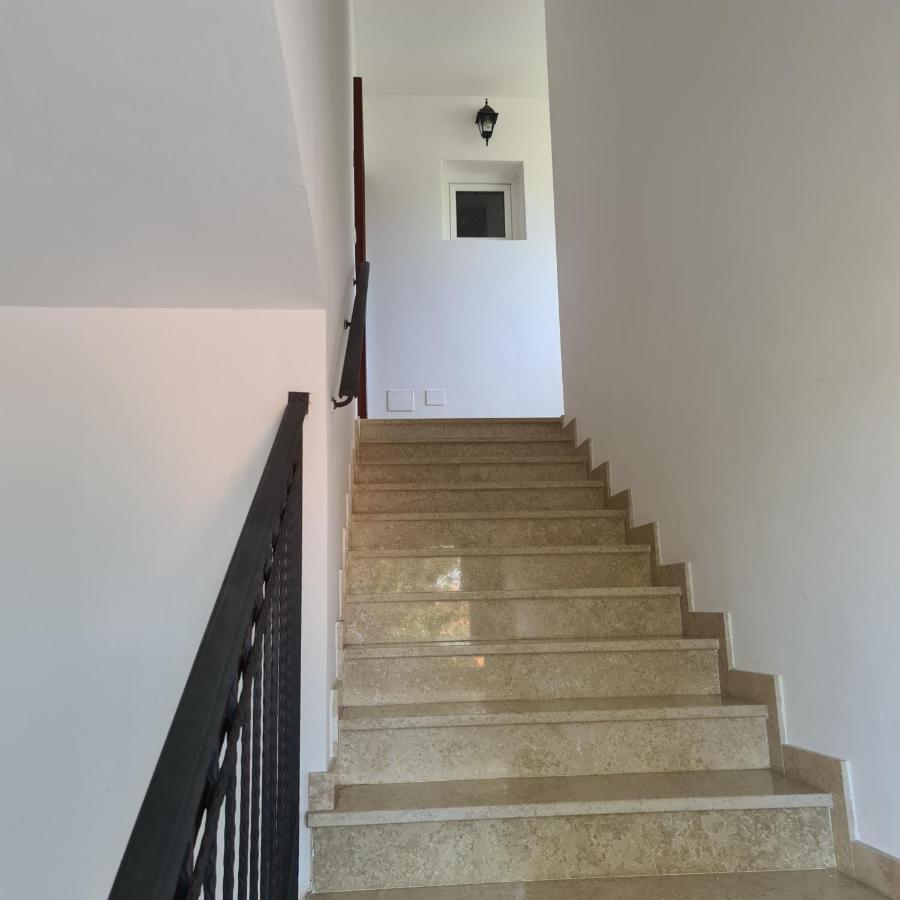 Vila Tena Rovinj Croatia エクステリア 写真
