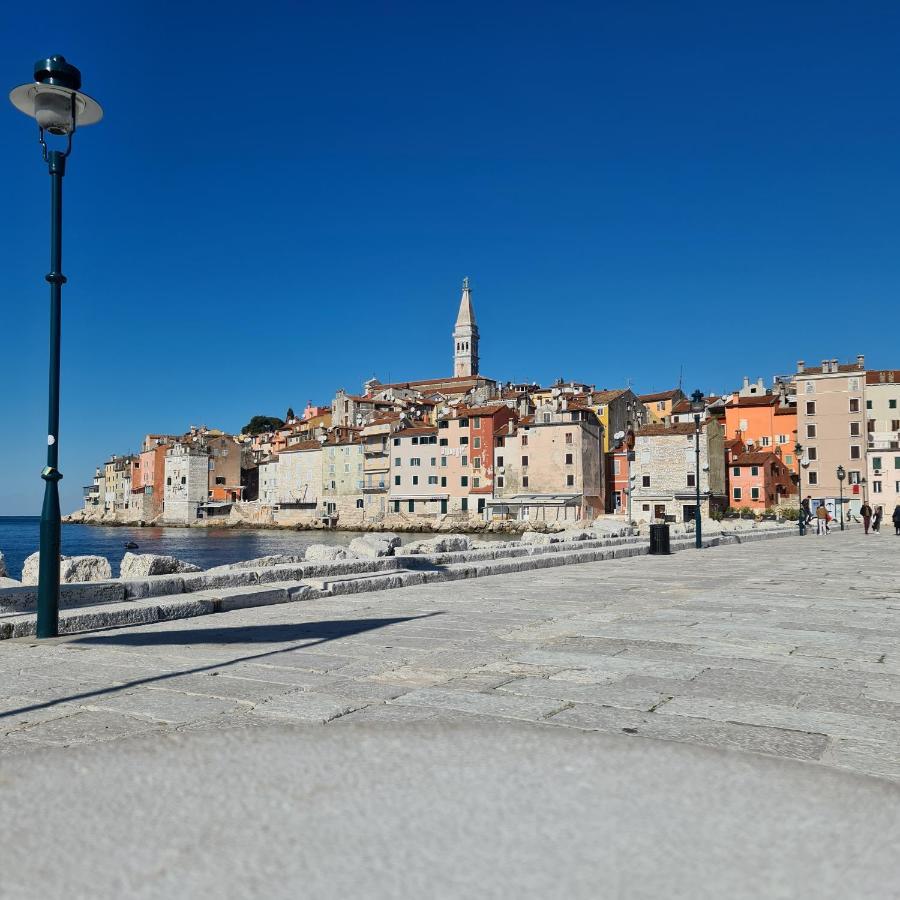 Vila Tena Rovinj Croatia エクステリア 写真