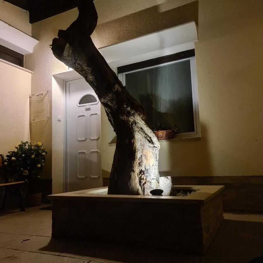 Vila Tena Rovinj Croatia エクステリア 写真