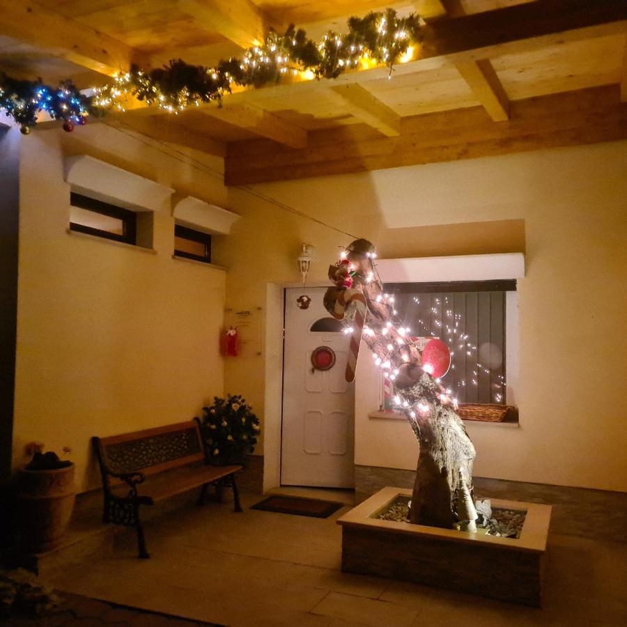 Vila Tena Rovinj Croatia エクステリア 写真
