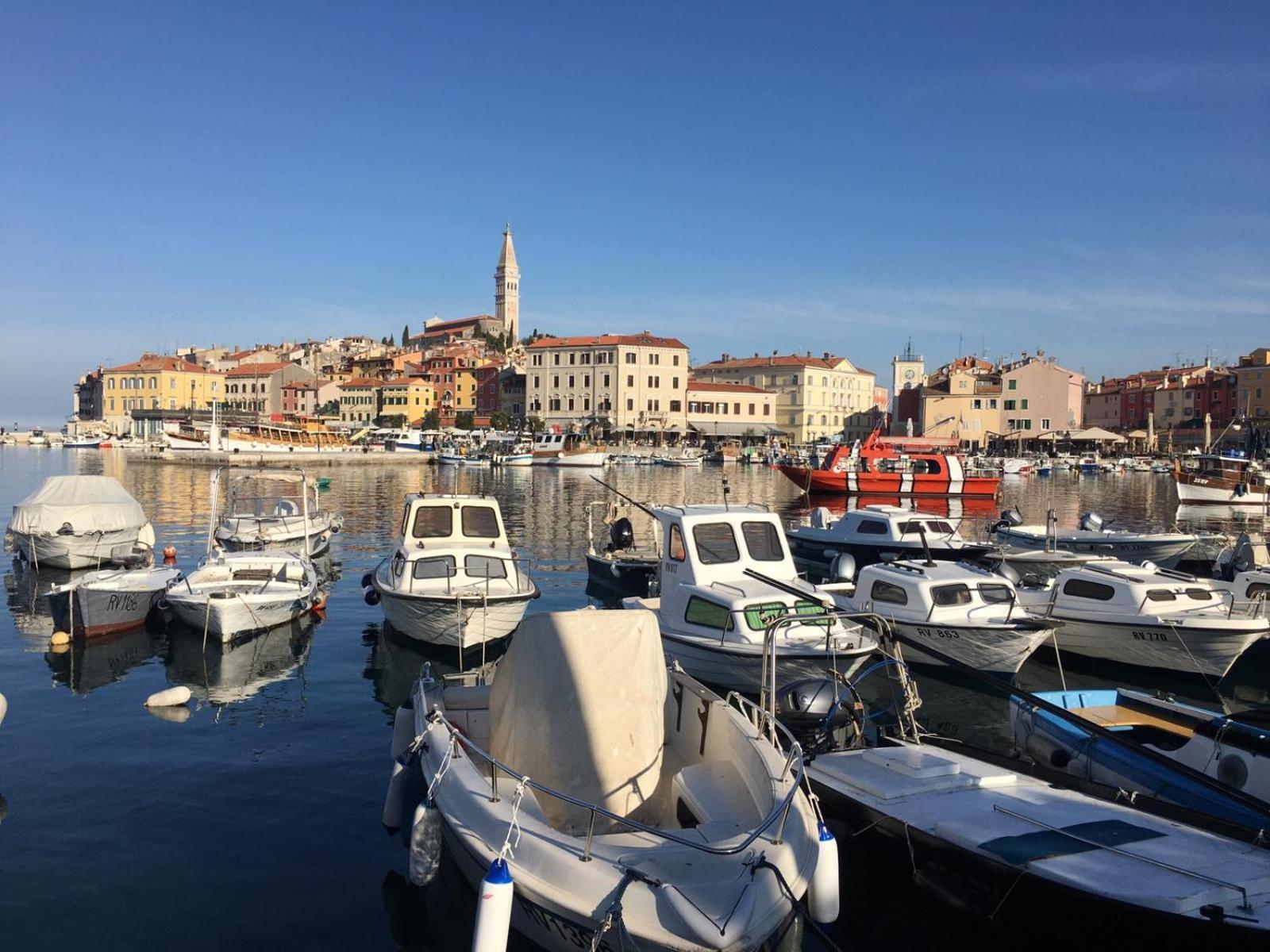 Vila Tena Rovinj Croatia エクステリア 写真