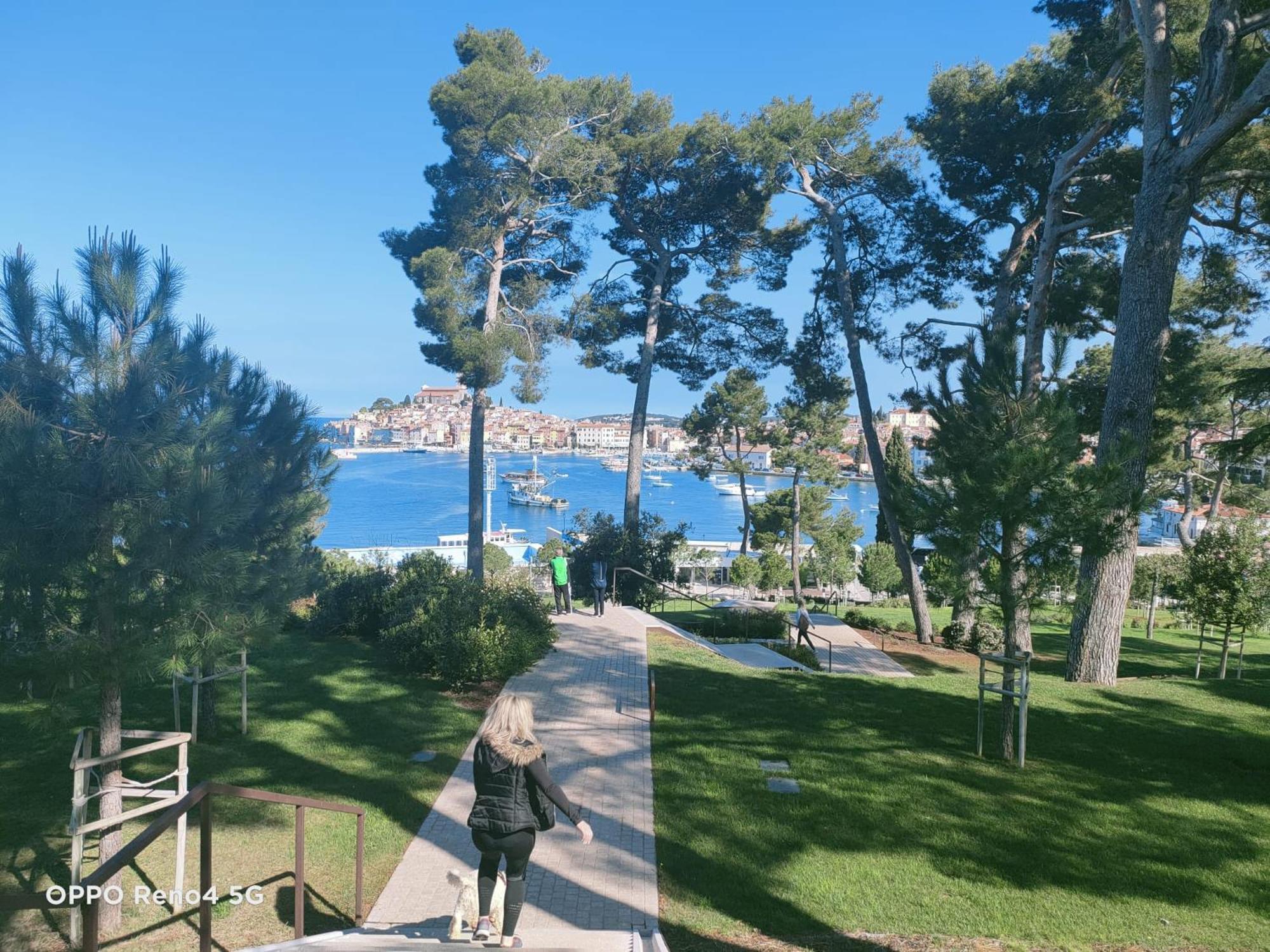 Vila Tena Rovinj Croatia エクステリア 写真
