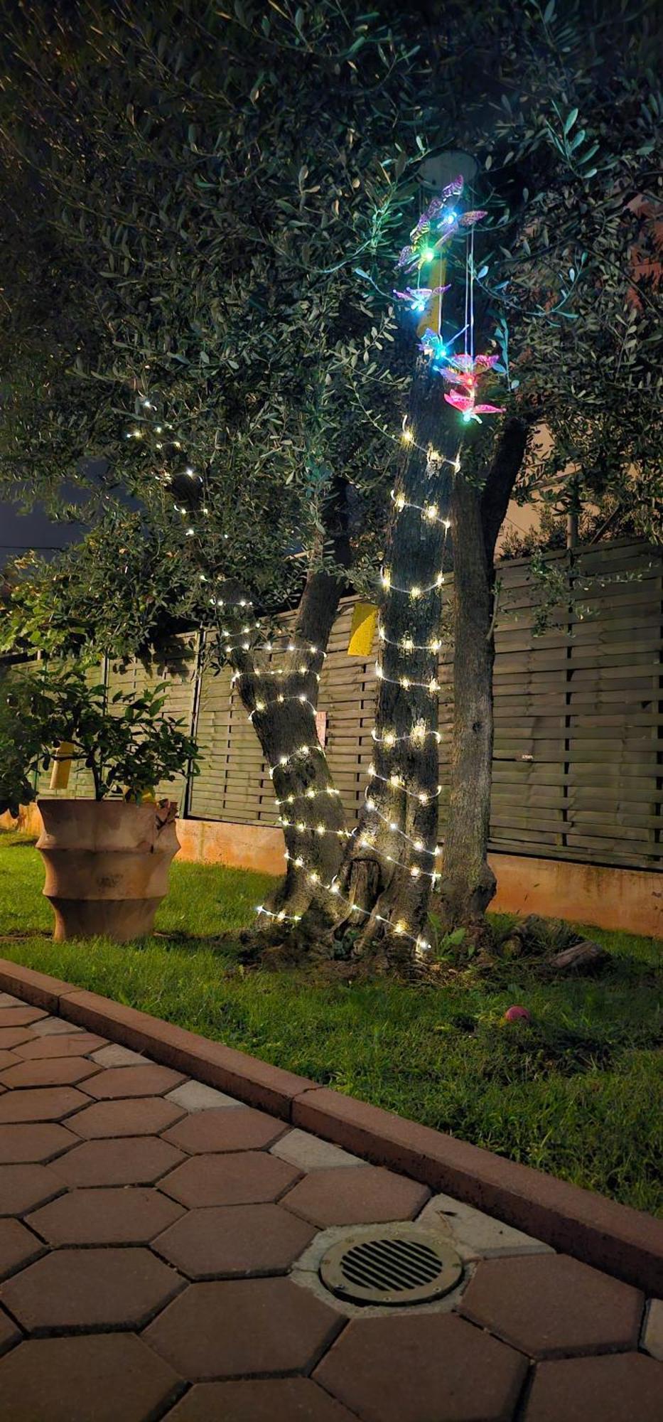Vila Tena Rovinj Croatia エクステリア 写真